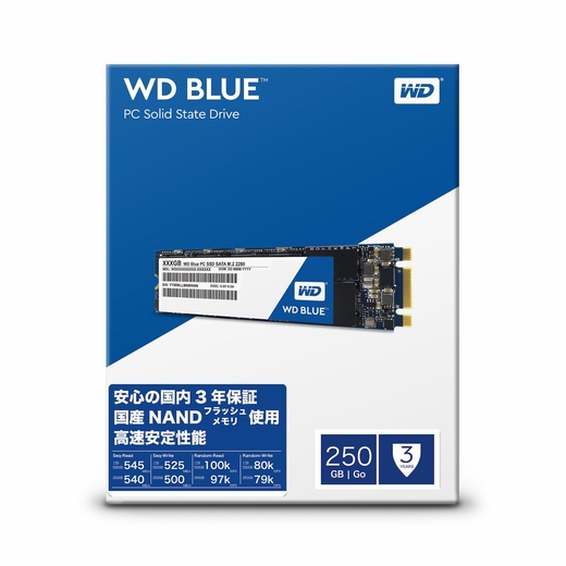 WD Blue 250GB WDS250G2B0B SATA 3.0 M.2 SSD